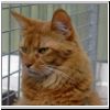 004 Floris.jpg